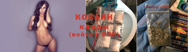 тгк Зеленокумск