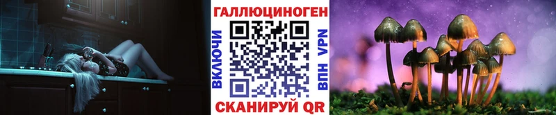 Псилоцибиновые грибы Magic Shrooms  Купить где  Камень-на-Оби 