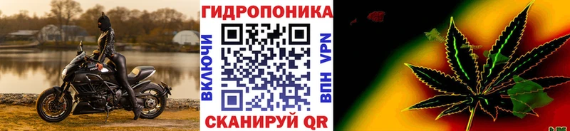 Шишки марихуана LSD WEED  Купить закладки  Камень-на-Оби 